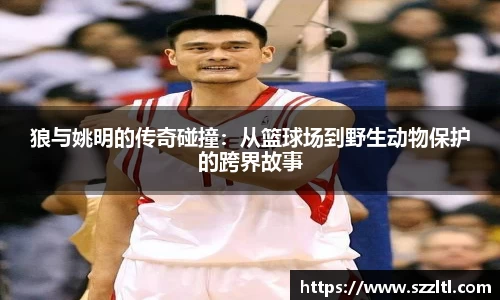 狼与姚明的传奇碰撞：从篮球场到野生动物保护的跨界故事